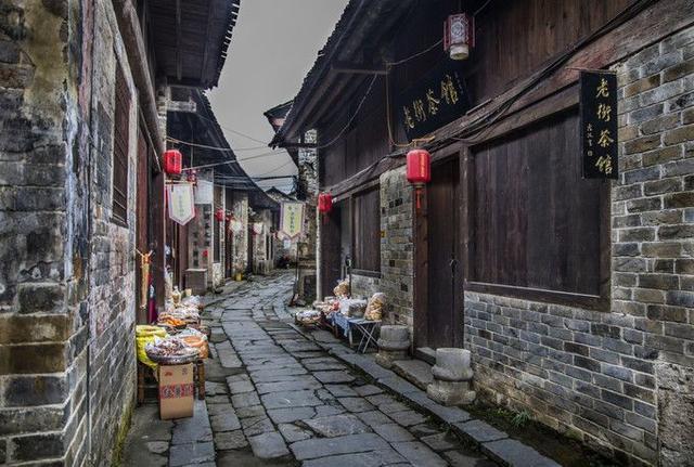 旅途/风之旅人